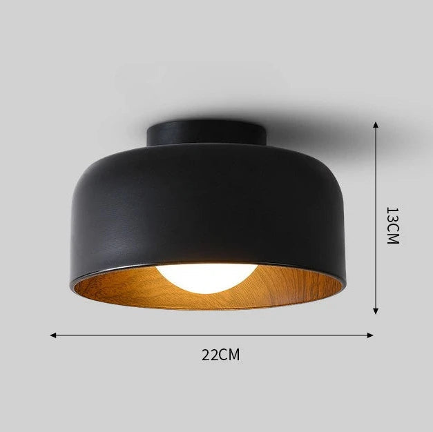 Elor Ceiling Light