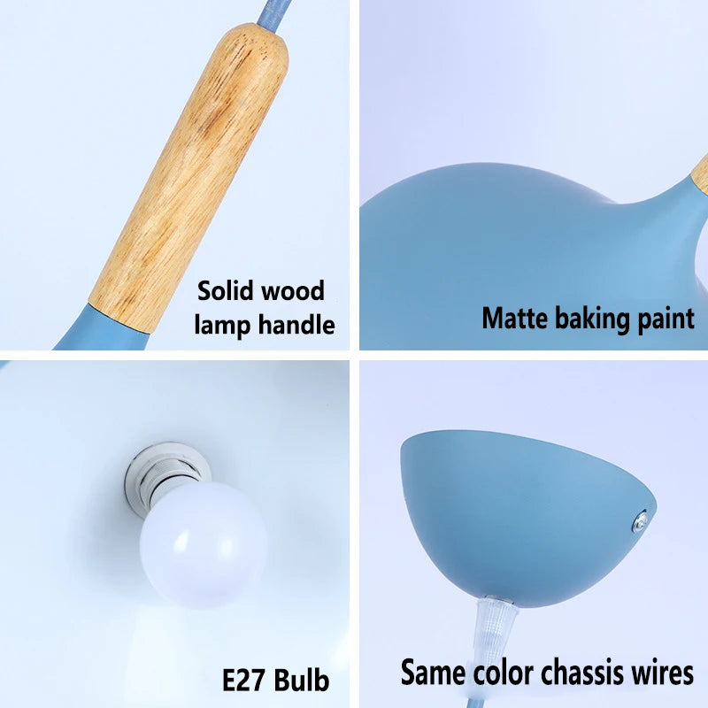Tailana Coloured Pendant Light