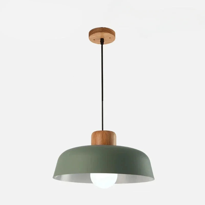 Celina Coloured Pendant Light
