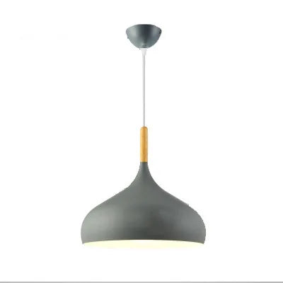 Tailana Coloured Pendant Light