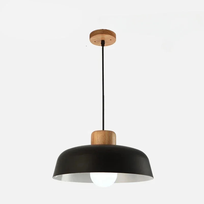 Celina Coloured Pendant Light