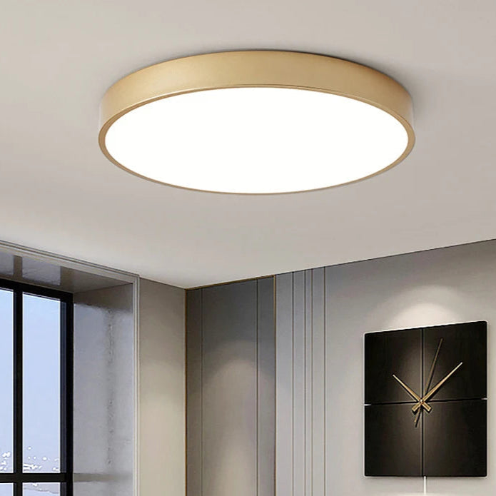 Elana Ceiling Light