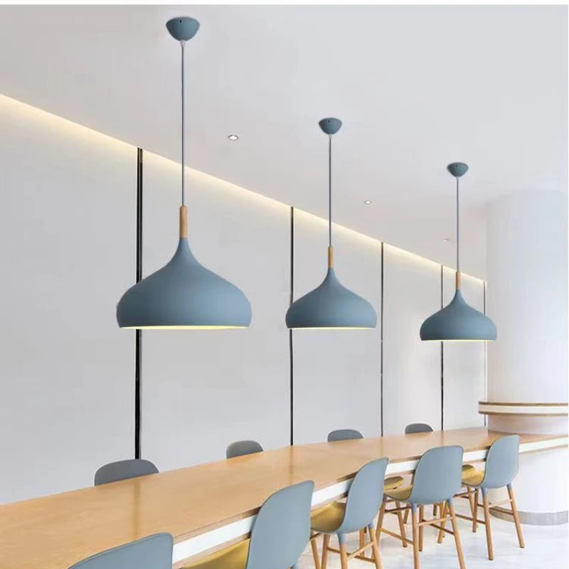 Tailana Coloured Pendant Light