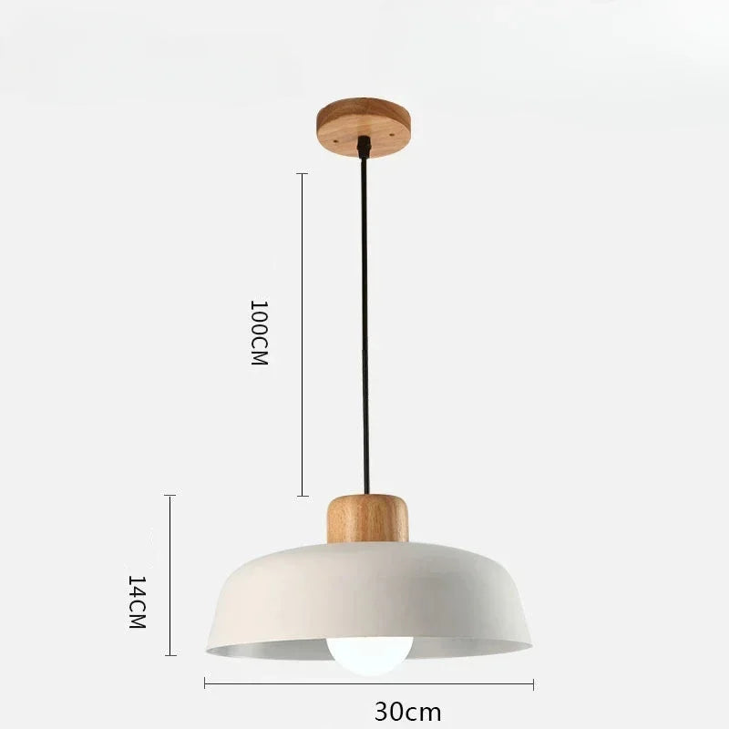 Celina Coloured Pendant Light
