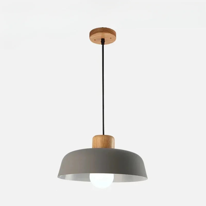 Celina Coloured Pendant Light