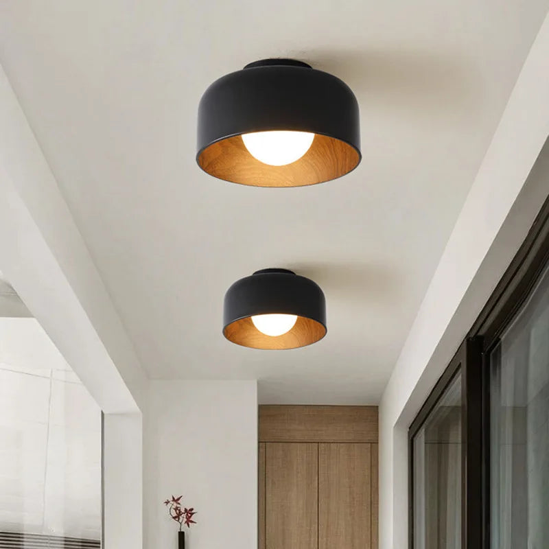 Elor Ceiling Light