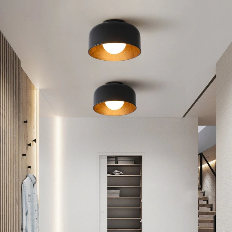 Elor Ceiling Light