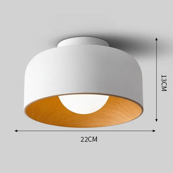 Elor Ceiling Light