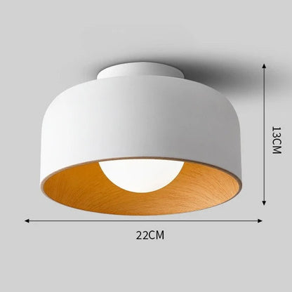 Elor Ceiling Light