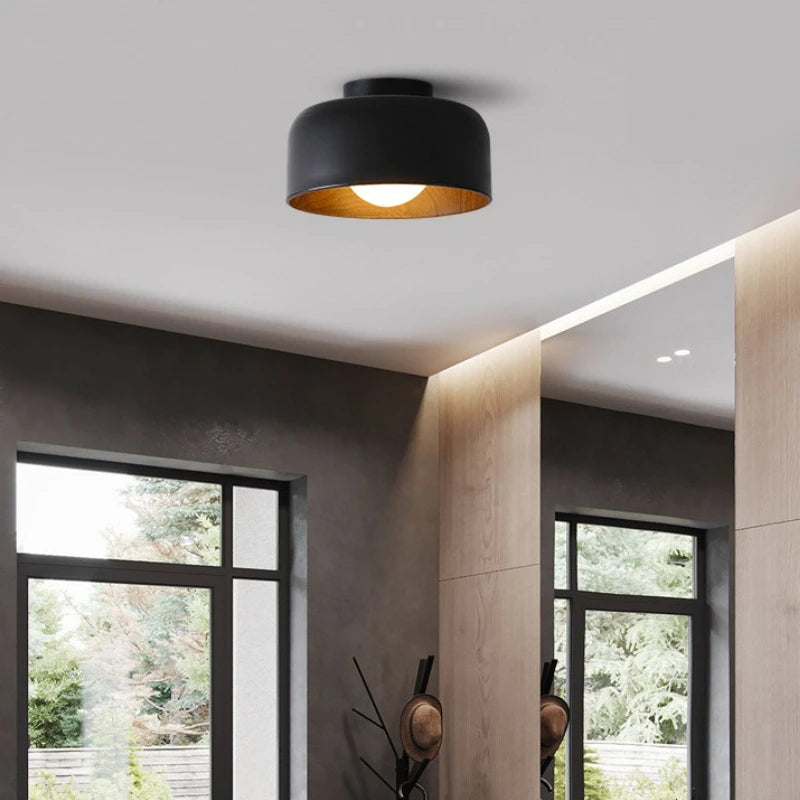 Elor Ceiling Light
