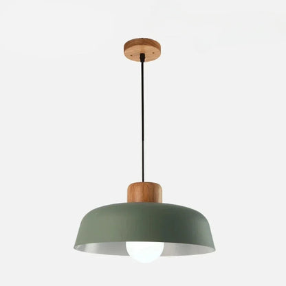 Celina Coloured Pendant Light