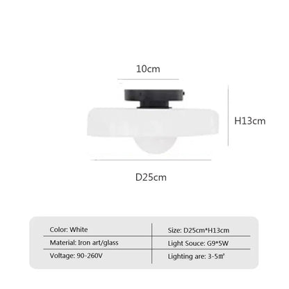 Solara Glass Ceiling Light
