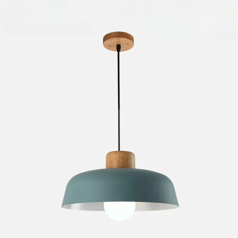 Celina Coloured Pendant Light