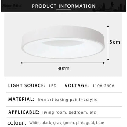 Bianes Ceiling Light