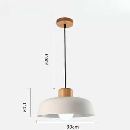 Celina Coloured Pendant Light