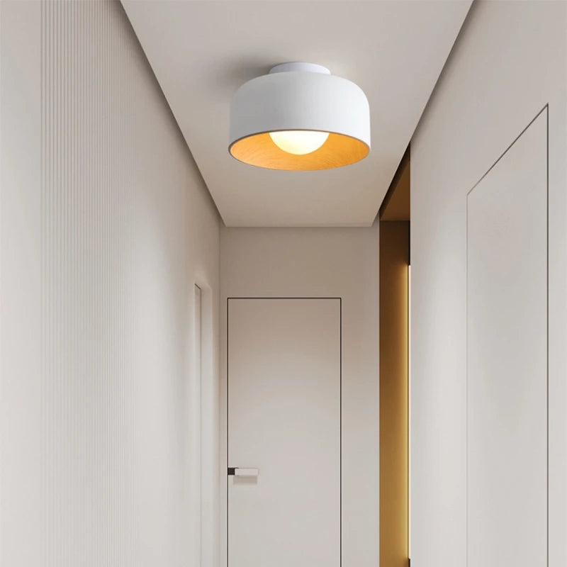Elor Ceiling Light